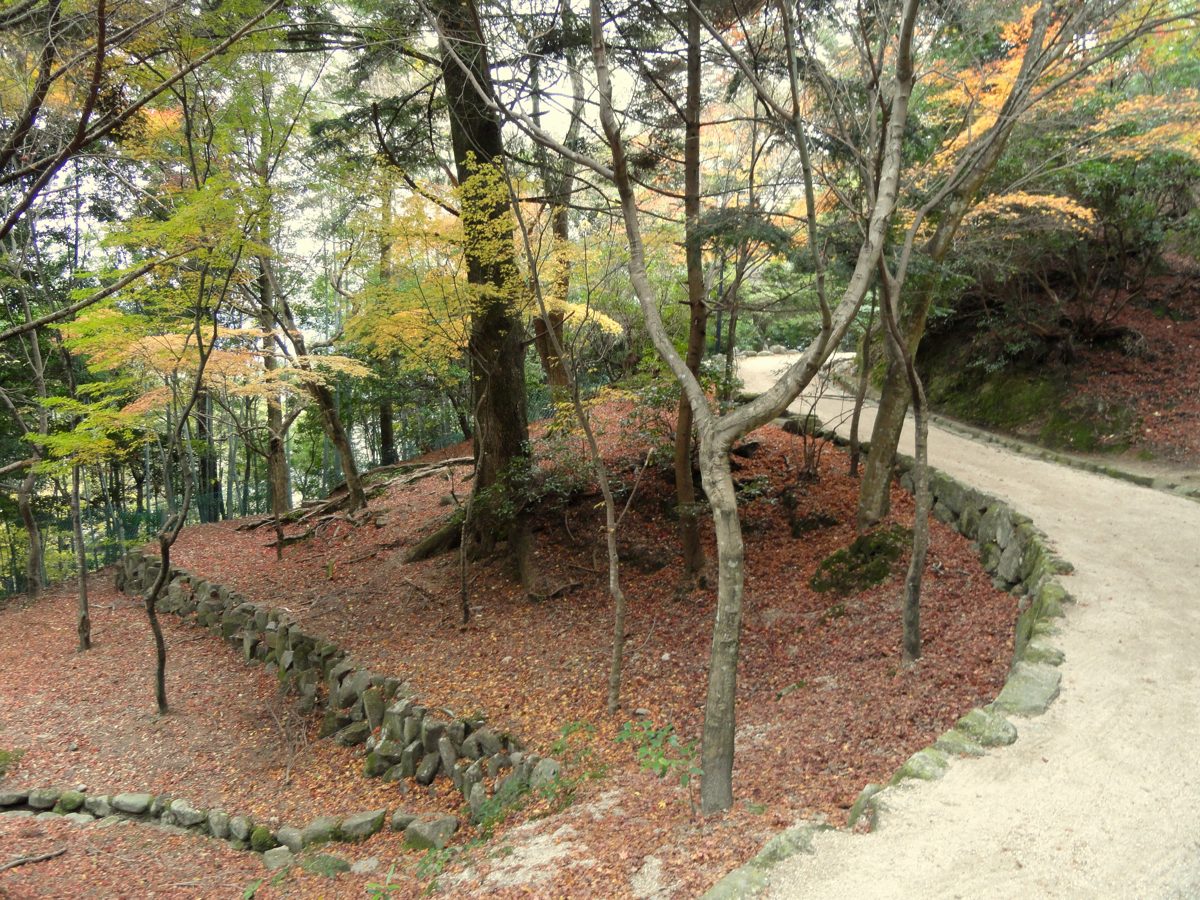 A curving gravel path through woods with autumn leaves on the ground on Mount Misen, Miyajima