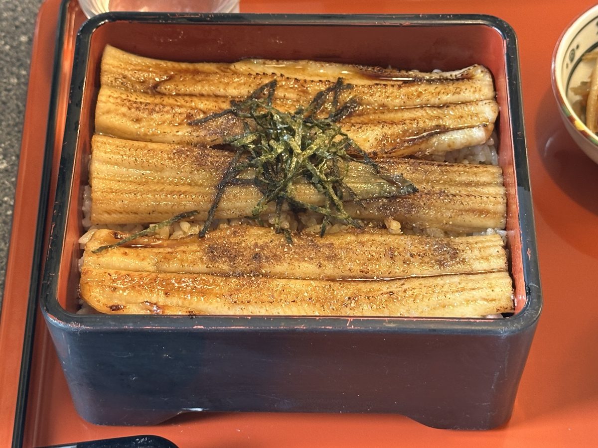 Grilled conger eel slices over rice in a lacquered box