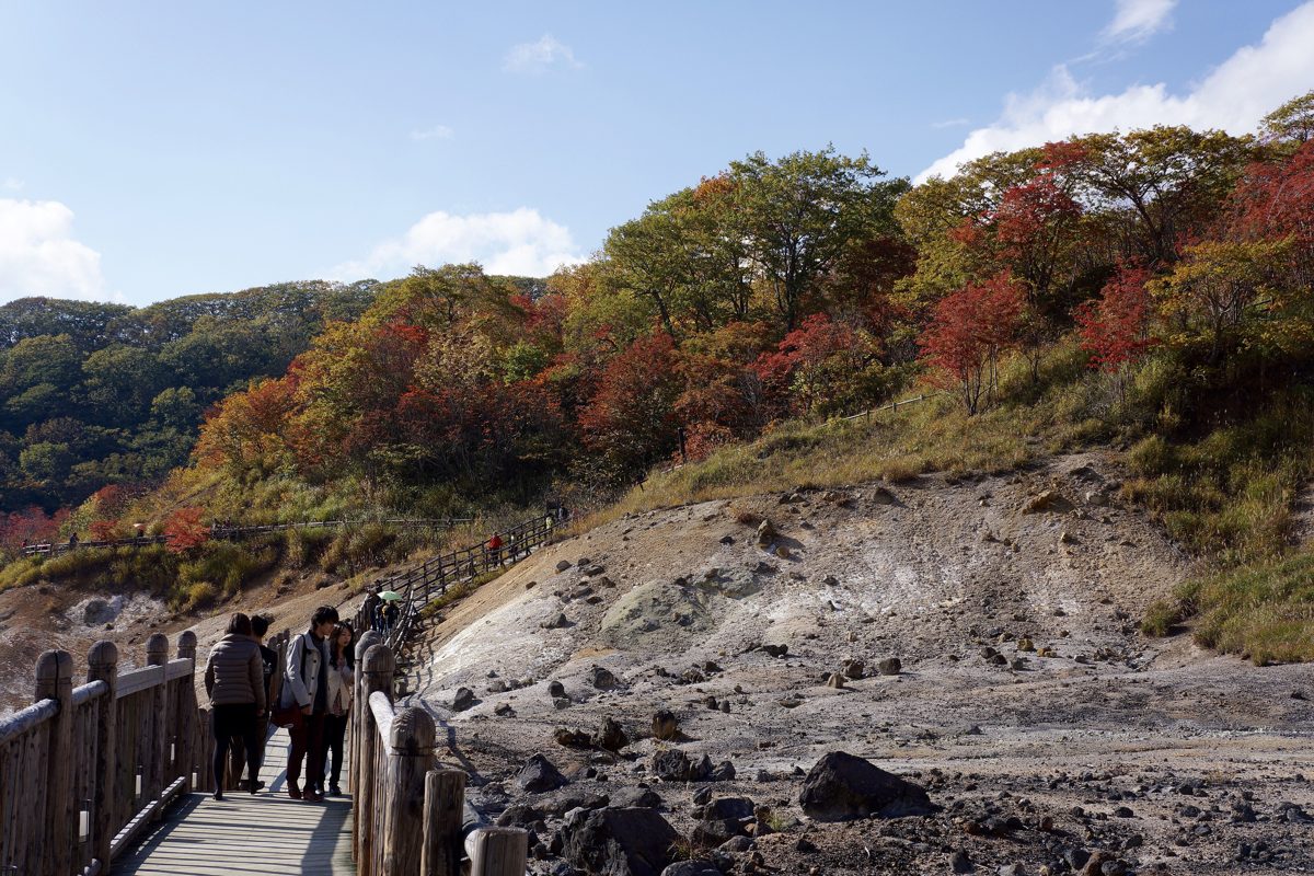A wooden boardwalk with walkers through Jigokudani among autumn trees