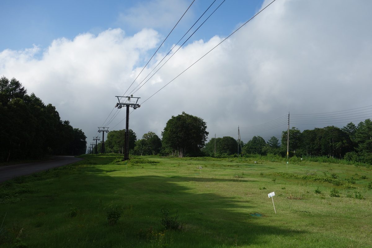 A grassy slope with a lift line and trees under a cloudy sky