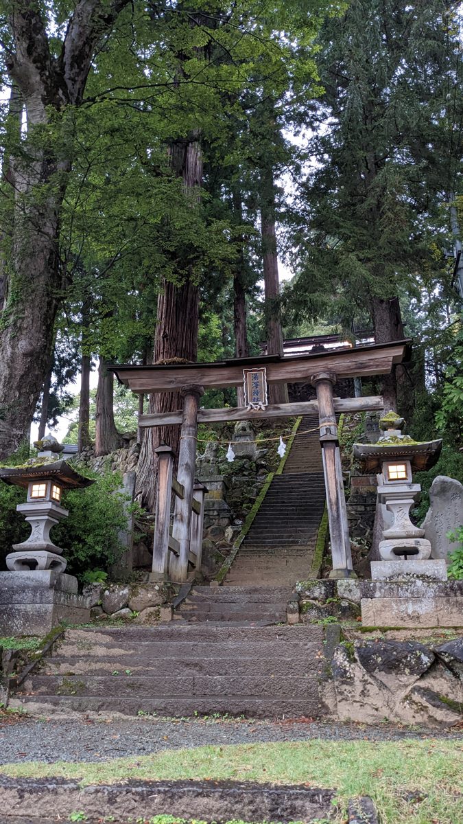 A stone stairway and wooden torii gate among tall cedar trees, with stone lanterns on each side