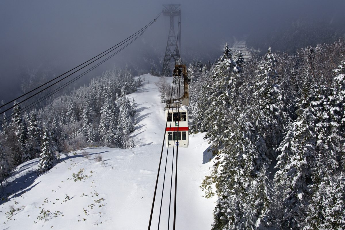 A Shinhotaka Ropeway gondola climbing above snow-covered conifer forest