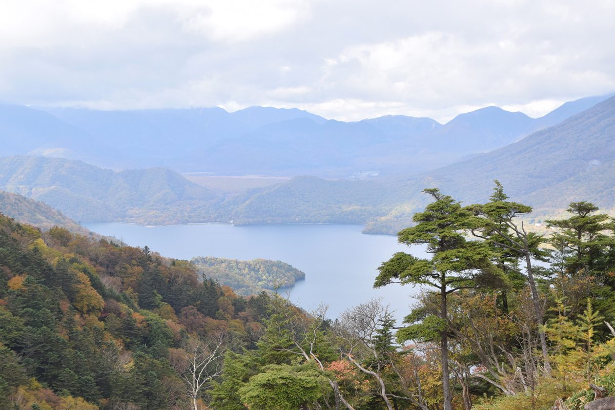 Lake Chuzenji seen from a forested mountainside in fall