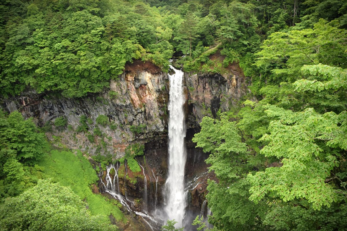 A tall waterfall dropping down a rock face surrounded by green forest