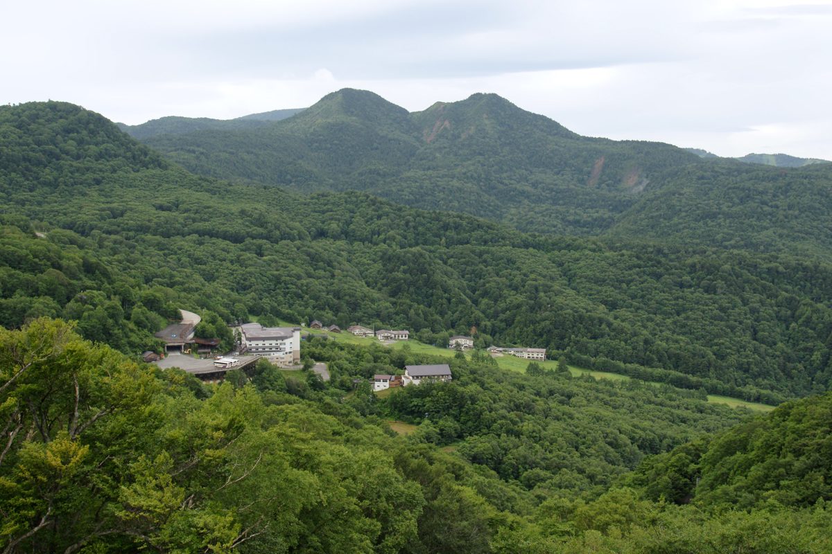 Green forested mountains with a few buildings in a valley in early summer