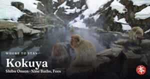 Kokuya Shibu Onsen · Nine Baths, Fees