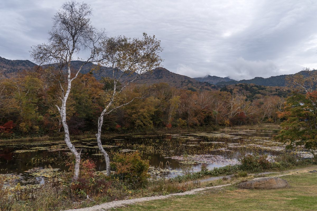 A pond with autumn trees and birches under a cloudy sky
