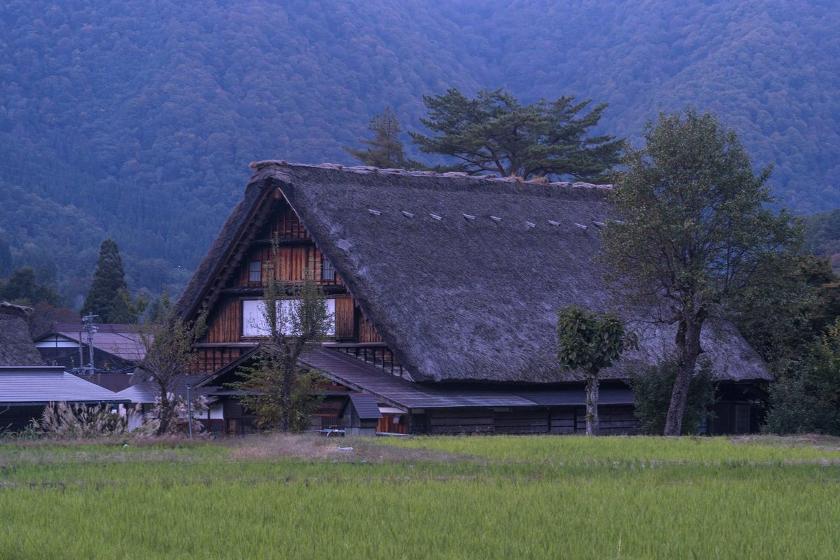 A large thatched gassho-zukuri house beside a green field at dusk, with mountains behind