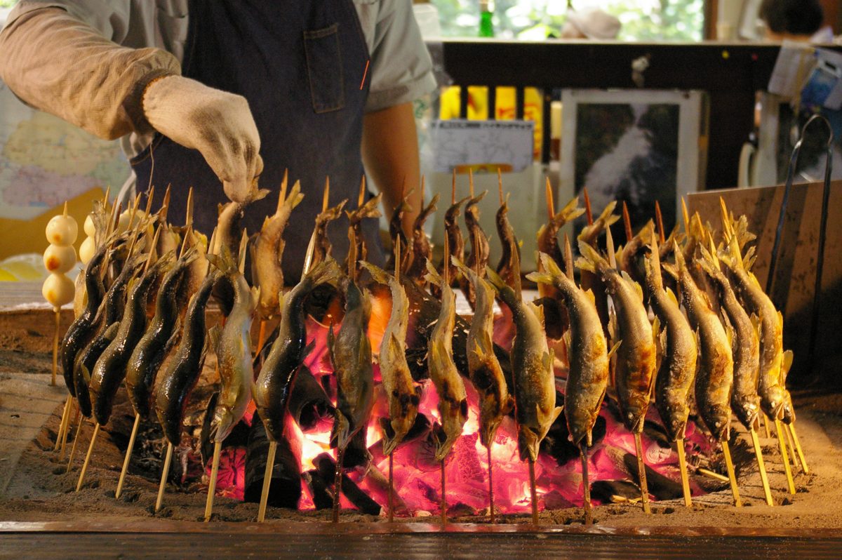 Rows of skewered river fish grilling upright over glowing charcoal