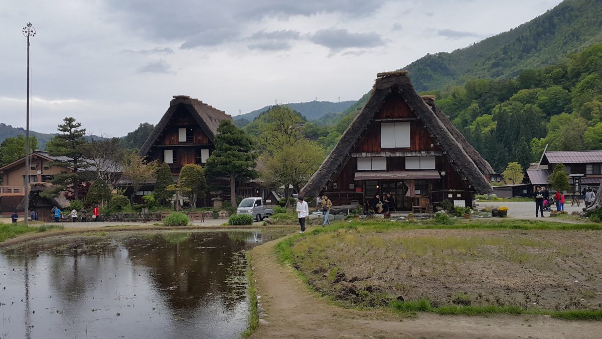 Two thatched gassho-style houses beside a flooded rice paddy under a cloudy sky