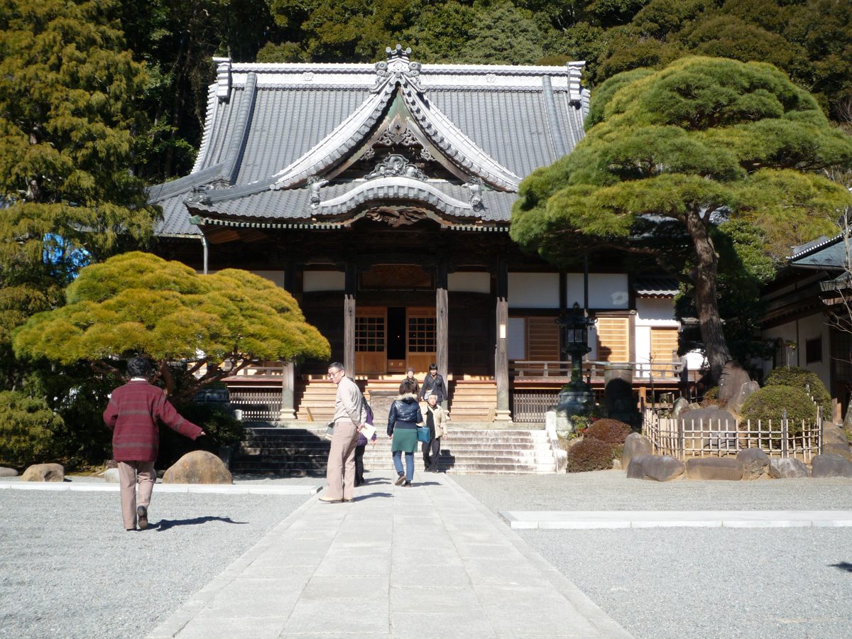 The main hall of a Buddhist temple with pine trees and a stone path
