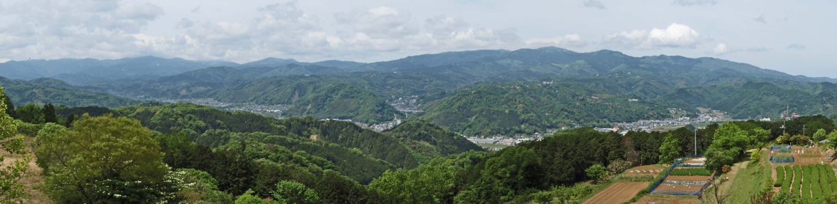A wide view over green hills and fields in Izu City