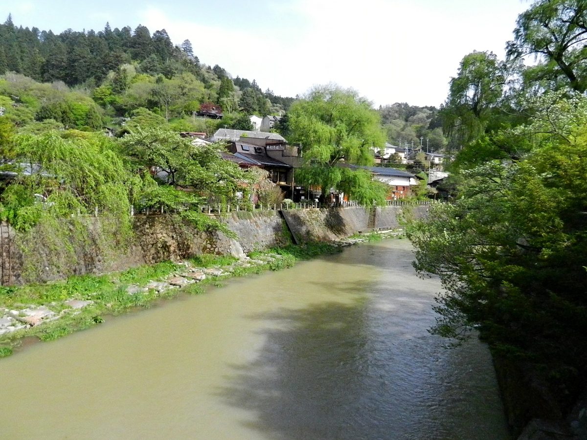 The Miya River flowing between green banks and houses in Takayama