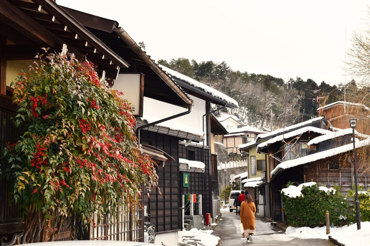 A narrow lane of old wooden houses with snow on the roofs and a red-berried shrub in front