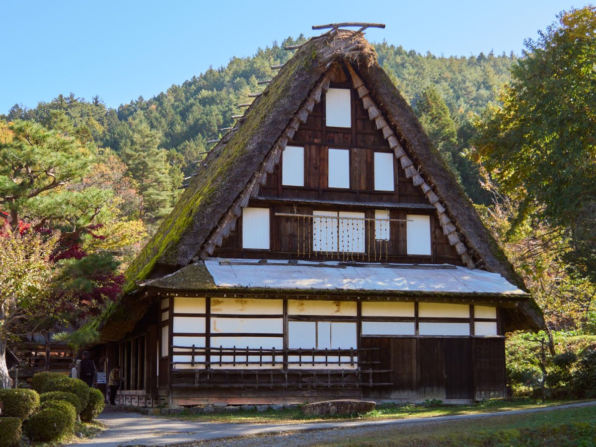 A thatched gassho-zukuri farmhouse among autumn trees