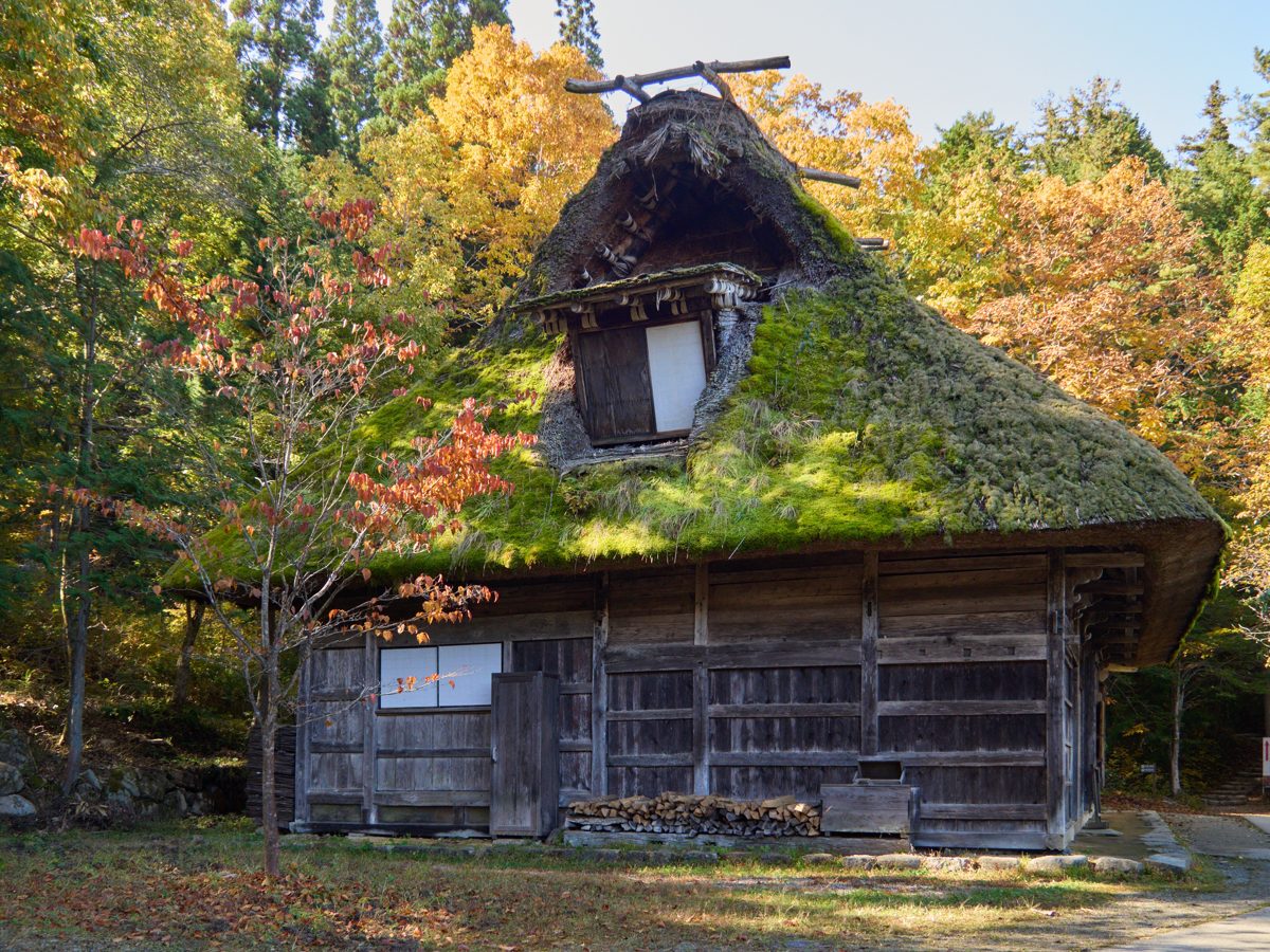An old thatched farmhouse surrounded by autumn leaves