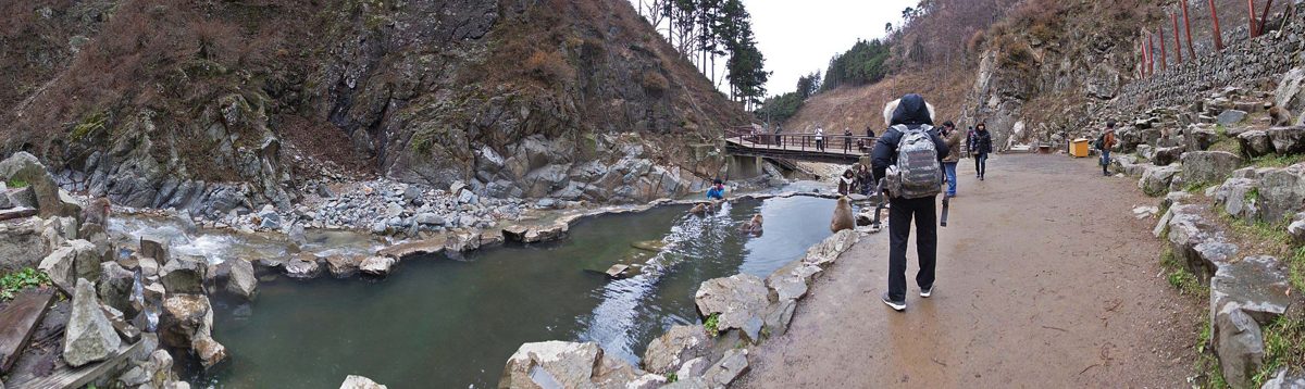 Visitors walking on a path beside a steaming rock pool by a river in a rocky valley, with monkeys in and around the pool