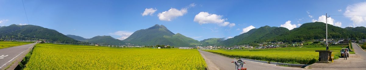 A wide view of green rice fields and mountains under a blue summer sky