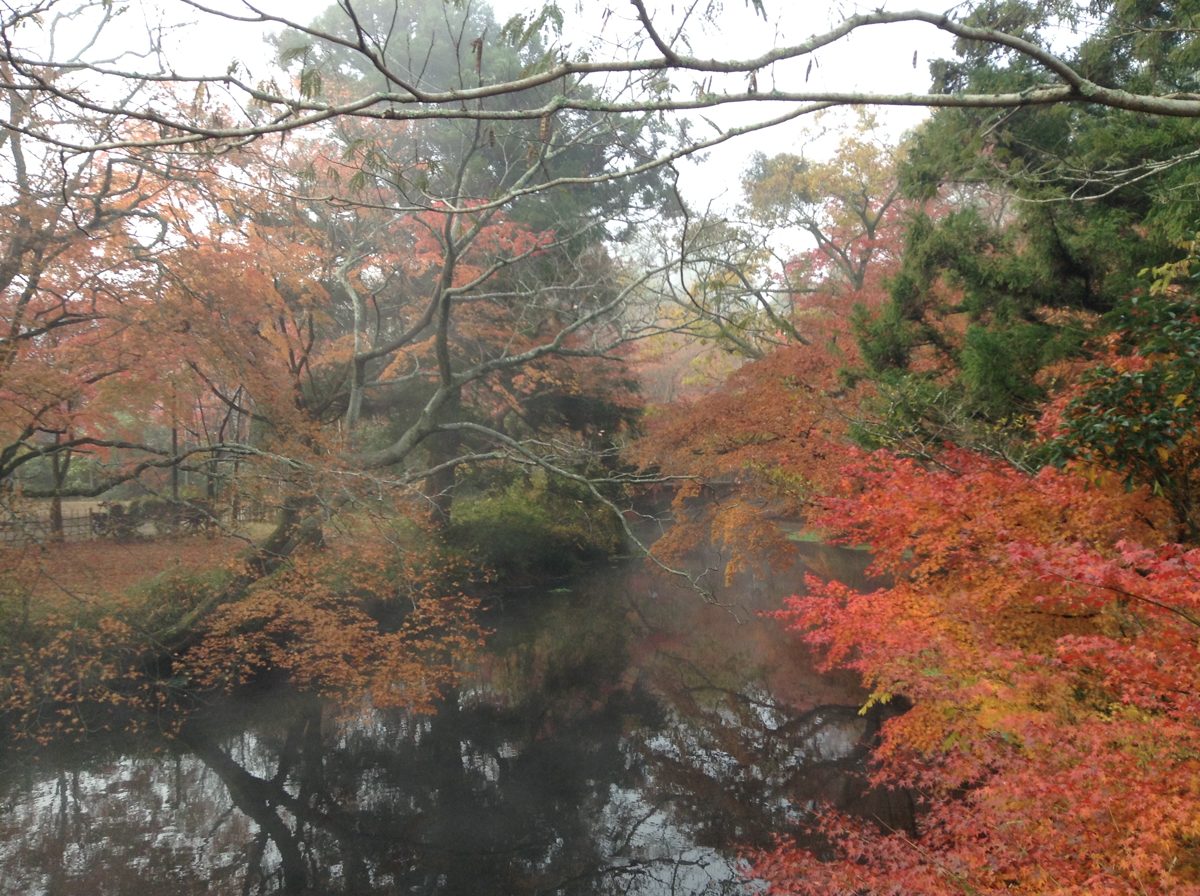 Red and orange autumn trees around a misty pond in Kawakami, Yufuin
