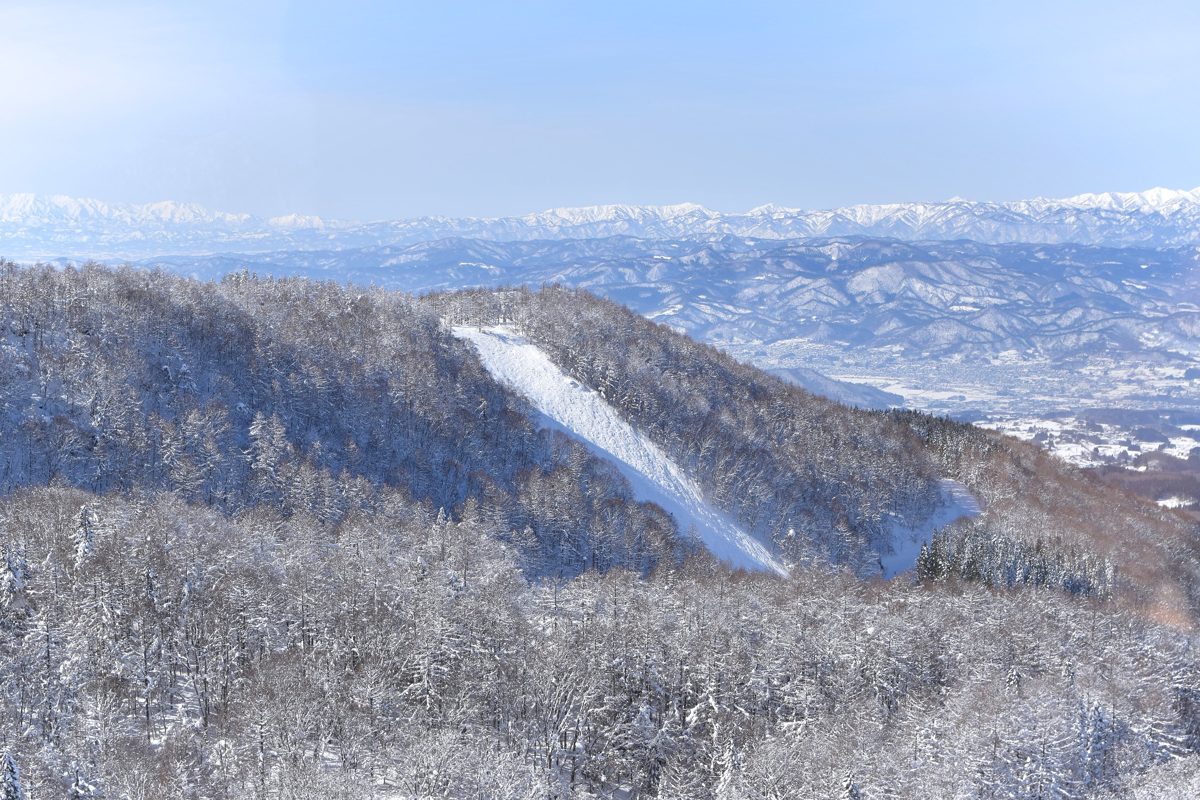 Snowy forested slopes and a ski run at Zao, with mountains beyond under a blue sky