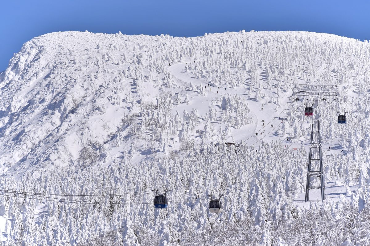 Ropeway gondolas above snow-covered trees on a mountain slope under a blue sky
