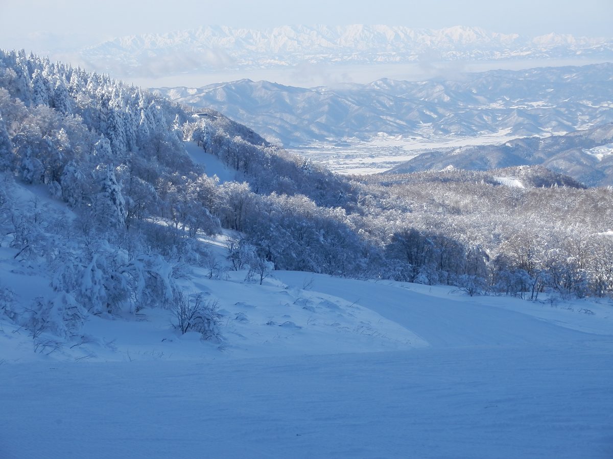A snowy ski slope with frosted trees and distant mountains