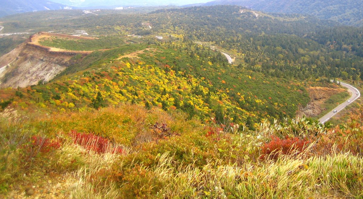A mountain road winding through autumn-colored slopes in the Zao mountains